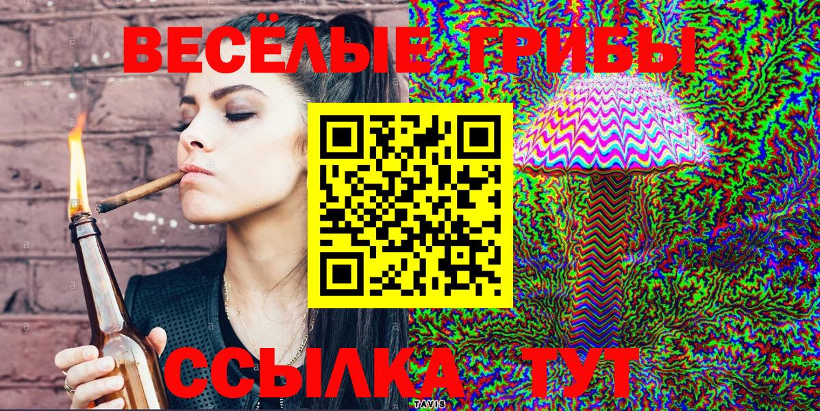 Кинель  Псилоцибиновые грибы MAGIC MUSHROOMS  Вход с VPN 