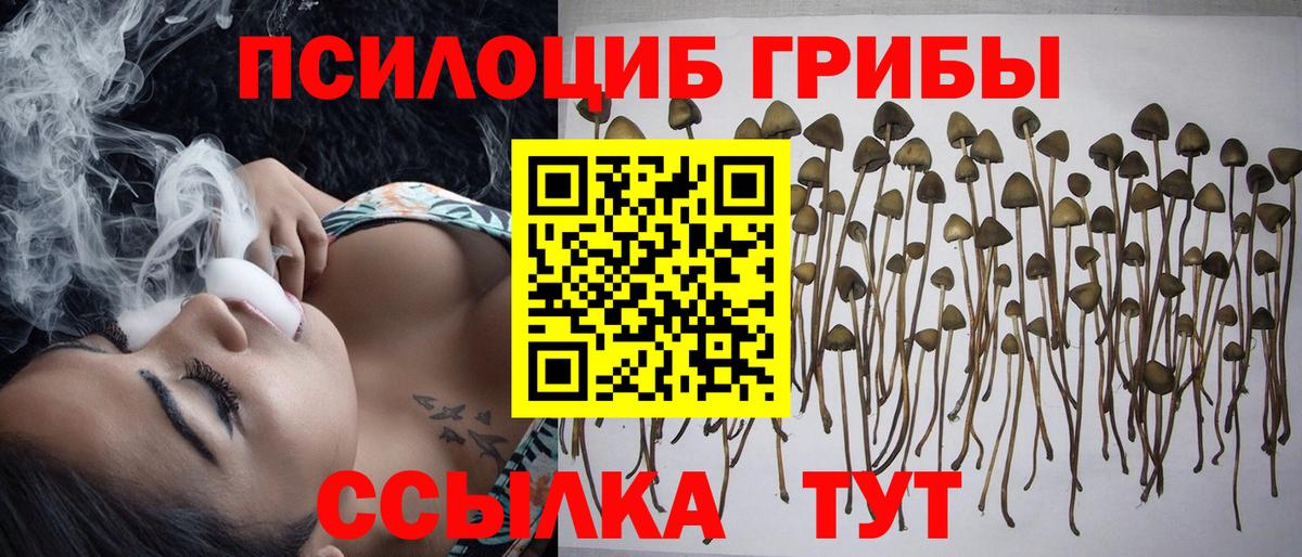 Псилоцибиновые грибы прущие грибы Кинель